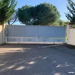 Loption * Carbonne
