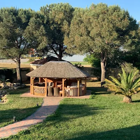 Loption Carbonne