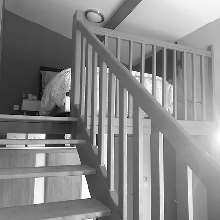 Loption Carbonne